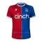 Crystal Palace Virallinen Kotipelipaita Miehet 2023/24