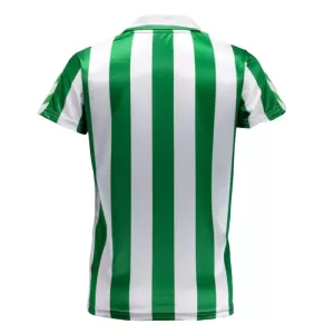 Real Betis Virallinen Paita Miehet 2023/24 Erityistä