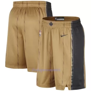 Toronto Raptors NBA Shortsit Miehet City Edition Swingman Toronto Raptors NBA Shortsit Miehet City Edition Swingman