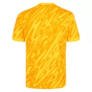 Tottenham Hotspur Maalivahdin Virallinen Paita Miehet 2024/25 Keltainen