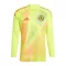 Skotlanti Maalivahdin Virallinen Paita Miehet Euro 2024 Pitkähihainen Keltainen