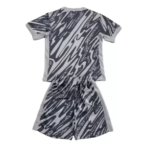 Paris Saint-Germain Maalivahdin Virallinen Paita Lapset 2024/25 harmaa