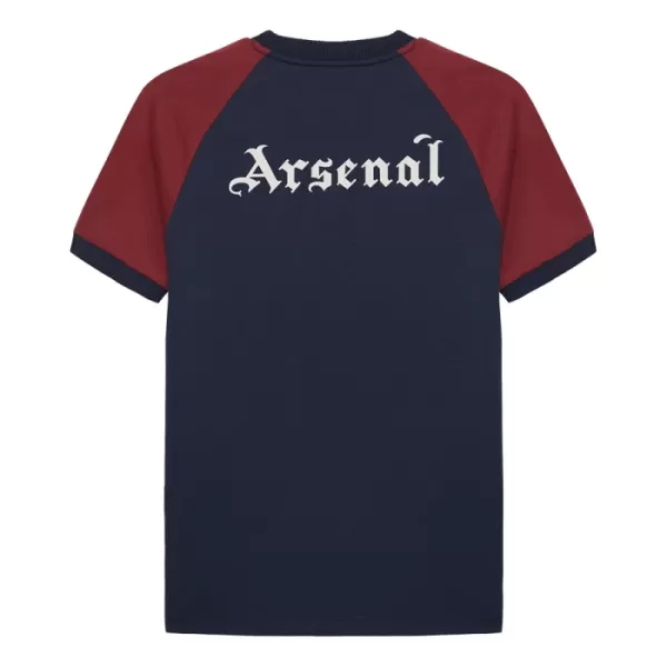 Arsenal Virallinen Paita Miehet 2024/25 Erityistä