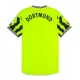 Borussia Dortmund Virallinen Paita Miehet 2024/25 Erityistä
