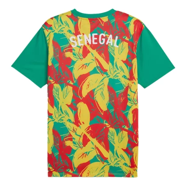 Senegal Pre-Match Virallinen Paita Miehet 2024/25