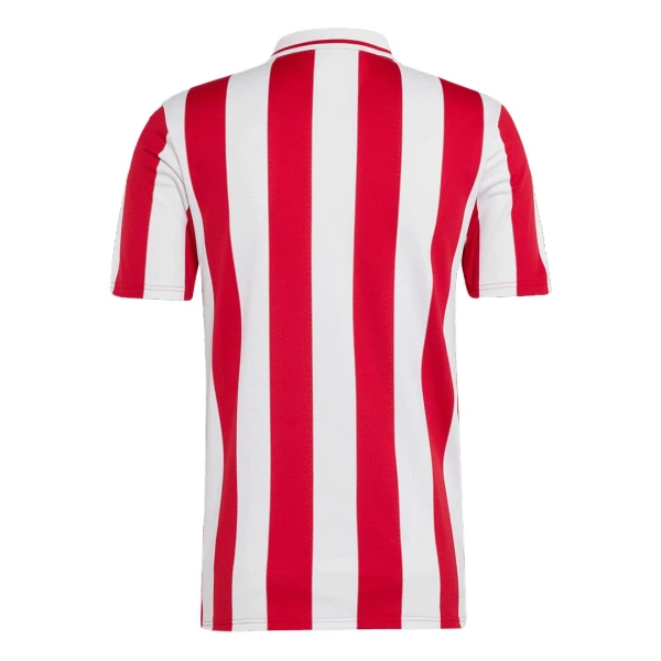 Olympiakos 100th Virallinen Paita Miehet Vuotispäivää 2024/25