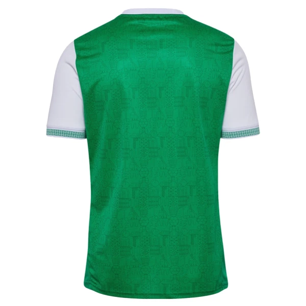 AS Saint-Étienne Virallinen Kotipelipaita Miehet 2025/26