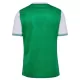 AS Saint-Étienne Virallinen Kotipelipaita Miehet 2025/26