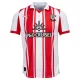 Southampton Virallinen Kotipelipaita Miehet 2025/26 Southampton Virallinen Kotipelipaita Miehet 2025/26