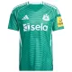 Newcastle United Virallinen Vieraspelipaita Miehet 2025/26 Newcastle United Virallinen Vieraspelipaita Miehet 2025/26