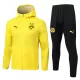 Borussia Dortmund Treenitakkihupparit Miehet 2025/26 Keltainen