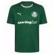 Palmeiras Virallinen Kotipelipaita Miehet 2026/27