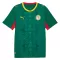 Senegal Virallinen Vieraspelipaita Miehet MM-kisat 2026