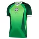 Nigeria Virallinen Kotipelipaita Miehet 2026/27