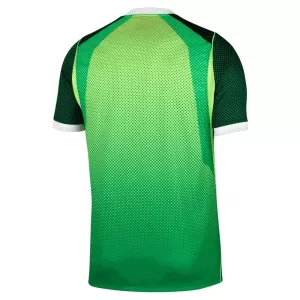 Nigeria Virallinen Kotipelipaita Miehet 2026/27