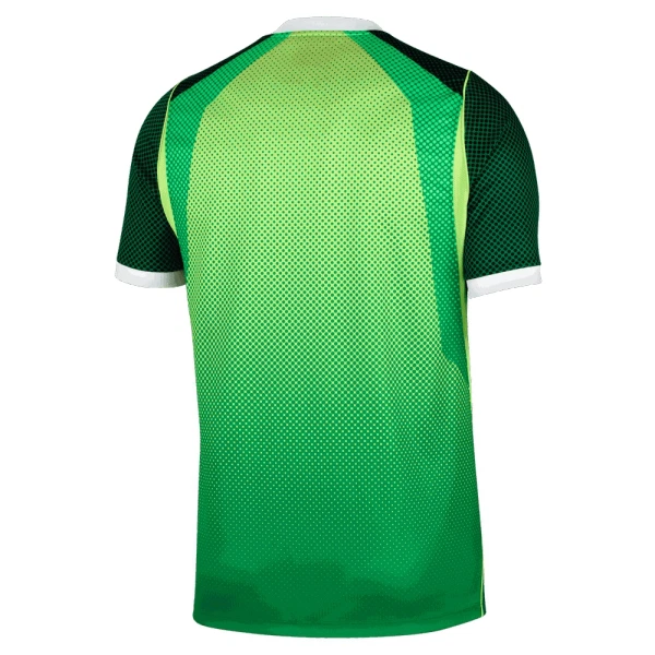 Nigeria Virallinen Kotipelipaita Miehet 2026/27