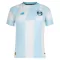 Grêmio FBPA Virallinen Vieraspelipaita Miehet 2026/27