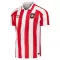 Sunderland Virallinen Kotipelipaita Miehet 2026/27