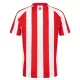 Sunderland Virallinen Kotipelipaita Miehet 2026/27