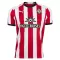 Southampton Virallinen Kotipelipaita Miehet 2026/27